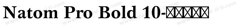 Natom Pro Bold 10字体转换